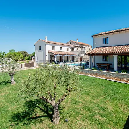 Modern Istrian Sirola